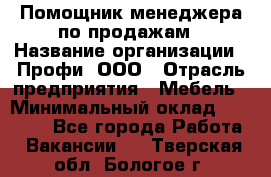 Помощник менеджера по продажам › Название организации ­ Профи, ООО › Отрасль предприятия ­ Мебель › Минимальный оклад ­ 60 000 - Все города Работа » Вакансии   . Тверская обл.,Бологое г.